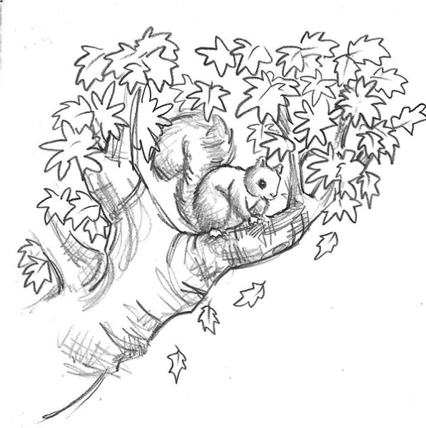 Раскраска лес дружбы