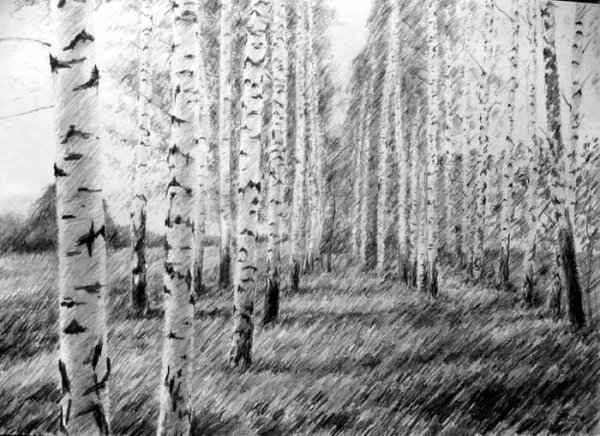 Русская природа