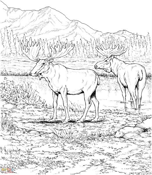 Пейзаж с животными карандашом