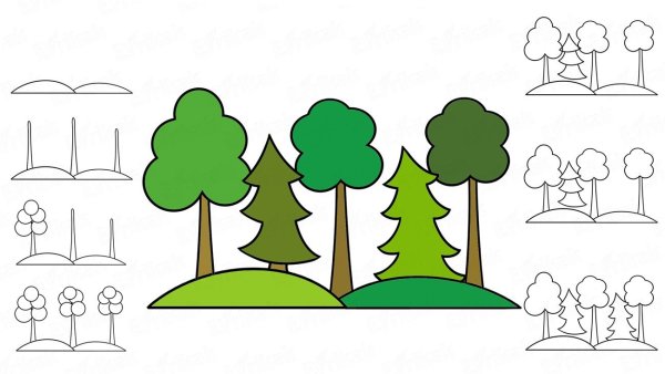 Схематичное изображение леса
