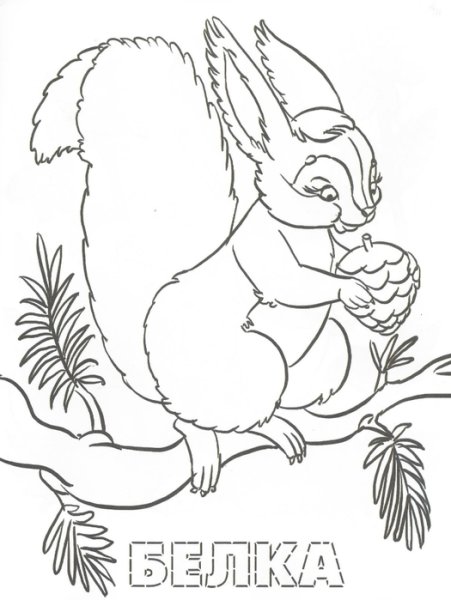 Раскраска "Лесные жители"