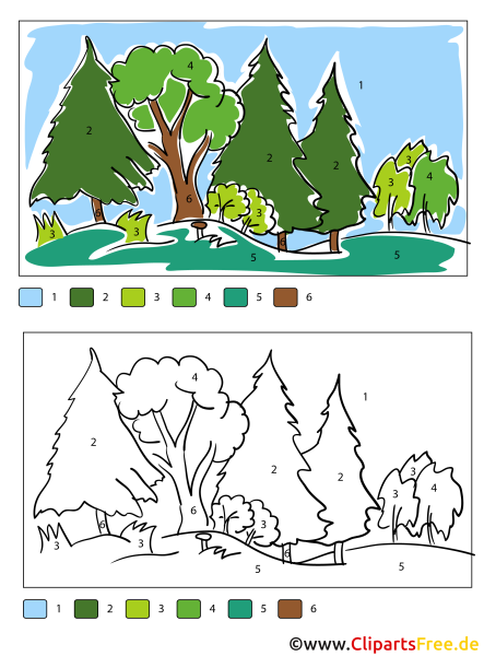 Раскраска по номерам лес