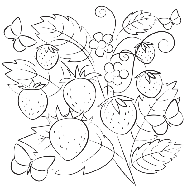 Раскраски ягоды в цвете