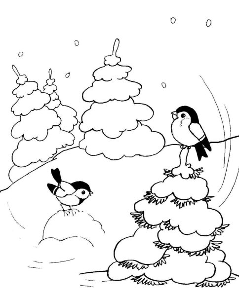 Зимняя раскраска