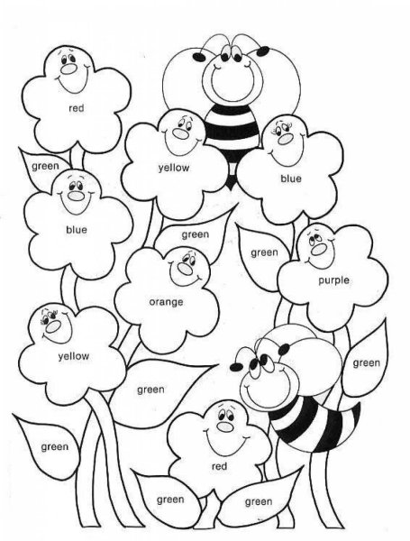 Раскраска на английском языке цвета