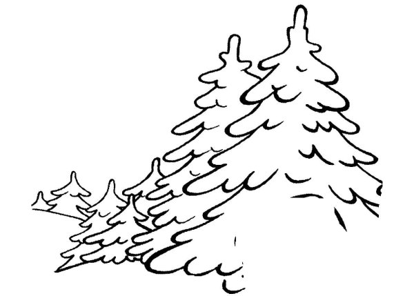 Зимний лес раскраска