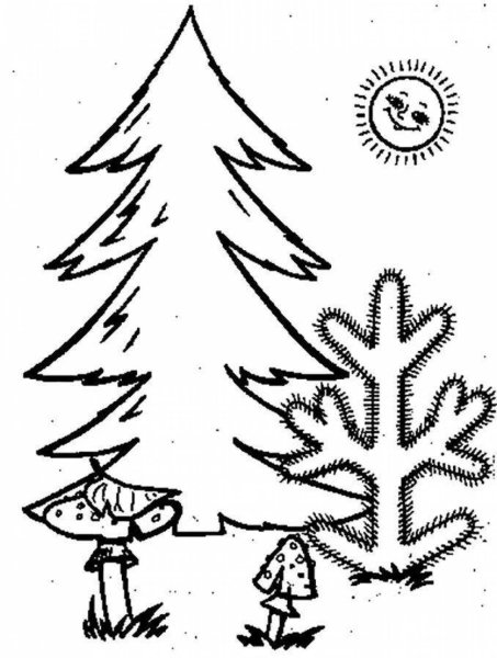 Раскраска Лесная елка