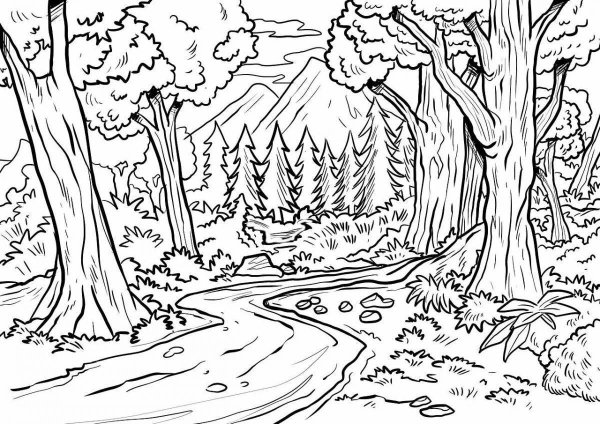 В лесу. Раскраска