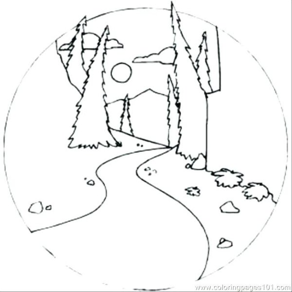 Раскраска тропинка в лесу