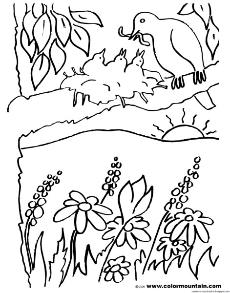 Весенний пейзаж раскраска для детей
