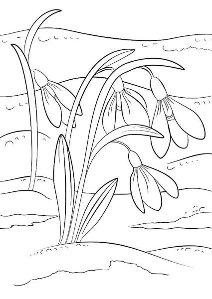 Подснежники раскраска для детей