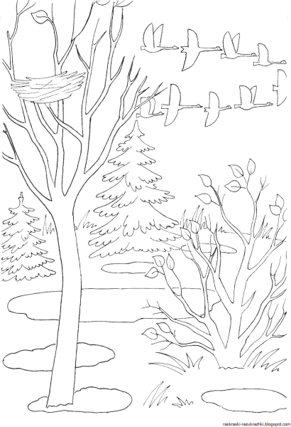 Осенний пейзаж раскраска