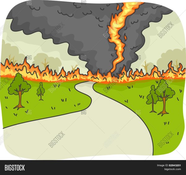 Природные пожары рисунок