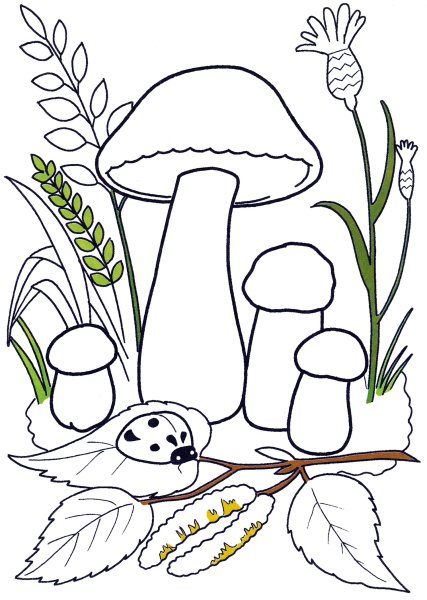 Раскраска бледная поганка гриб