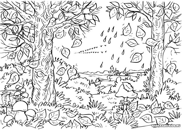 Осенний пейзаж раскраска