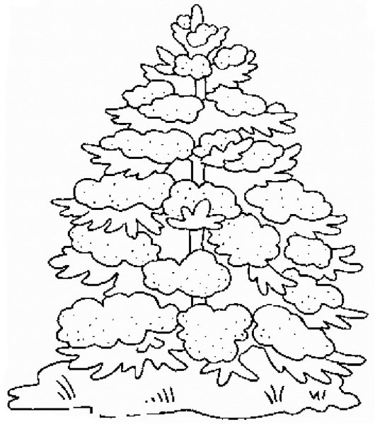 Ель раскраска