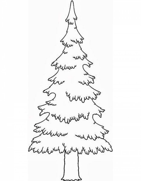Ель раскраска