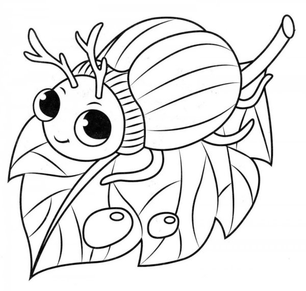 Раскраска Жук и жучок