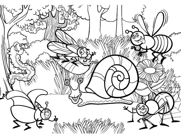 Раскраска Лесные насекомые