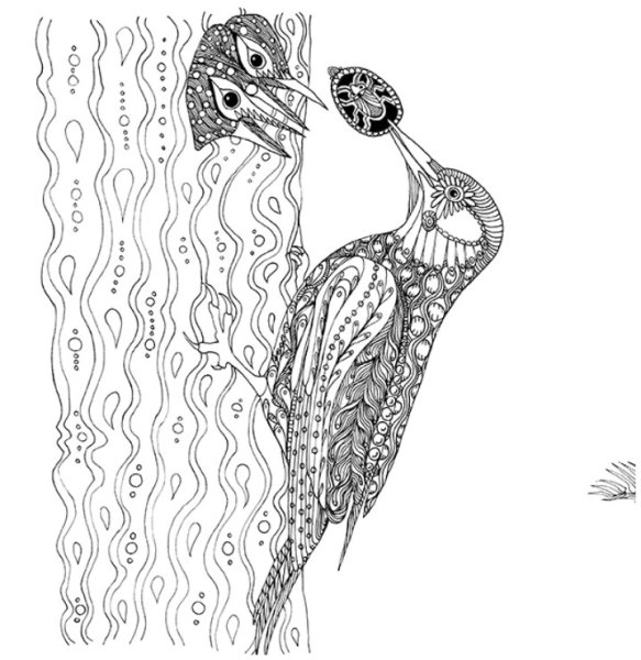 Тайна заколдованного леса раскраска