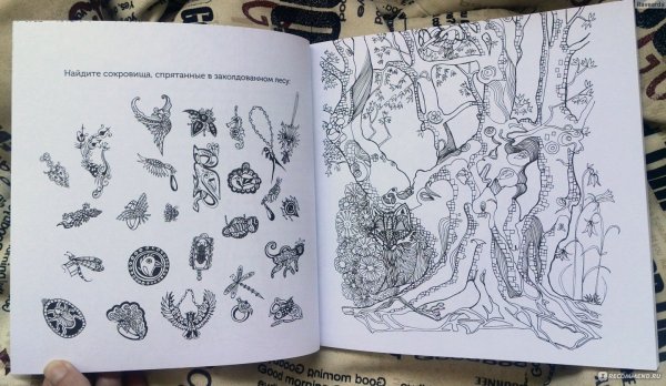 Тайна заколдованного леса