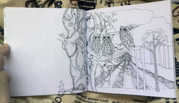 Тайна заколдованного леса раскраска