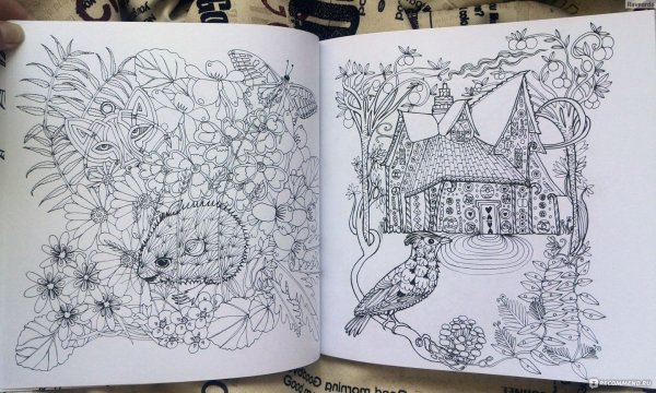 Тайна заколдованного леса