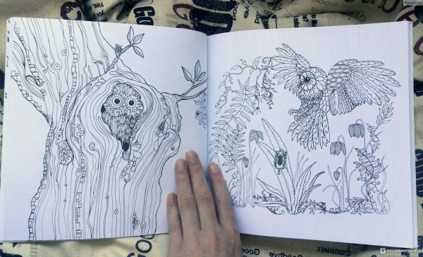 Заколдованный лес фломастерами