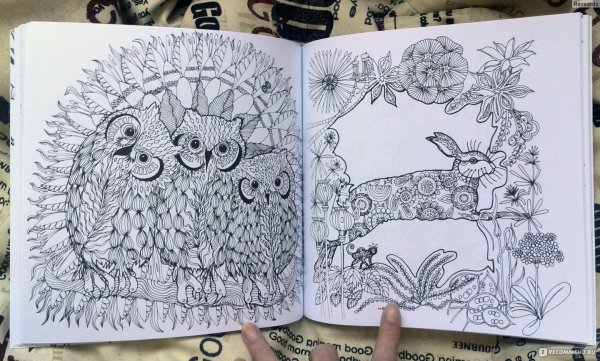 Тайна Зачарованный лес