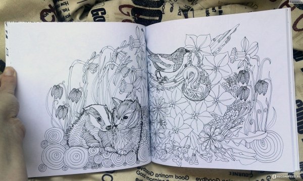 Тайна заколдованного леса