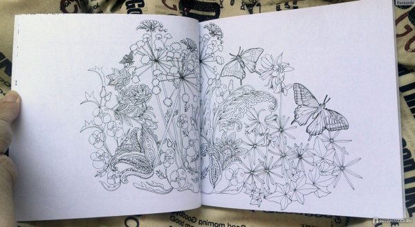 Тайна заколдованного леса