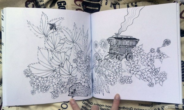 Тайна зачарованного леса книга