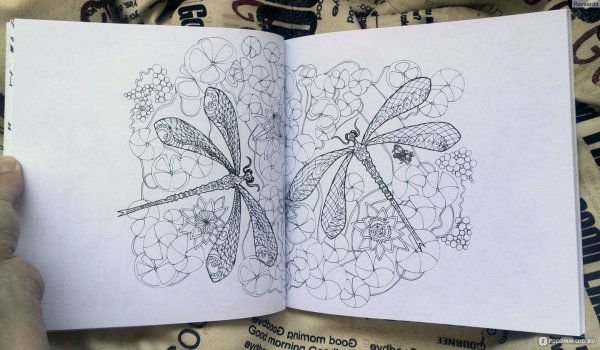 Контэнт тайна заколдованного леса. Раскрась и Собери сокровища!