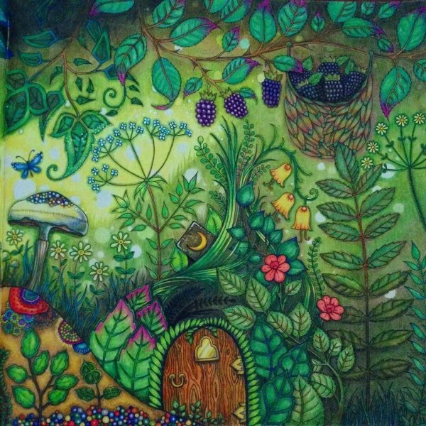 Зачарованный лес иллюстрации