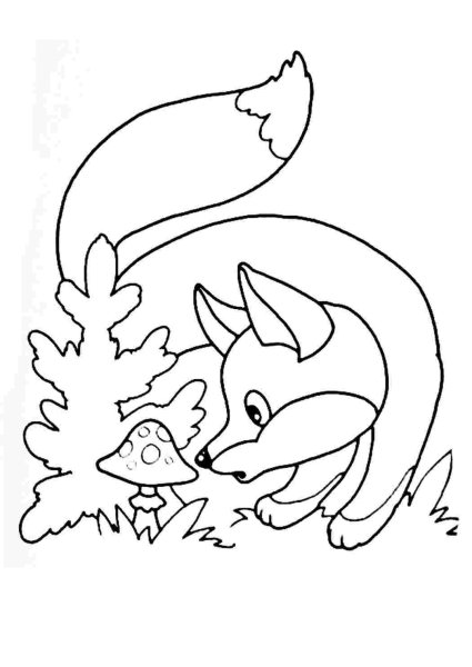 Лисичка раскраска для детей 4-5 лет