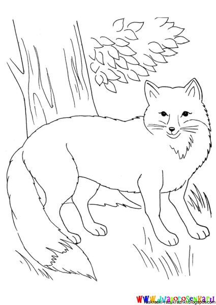 Пришвин Лисичкин хлеб раскраска