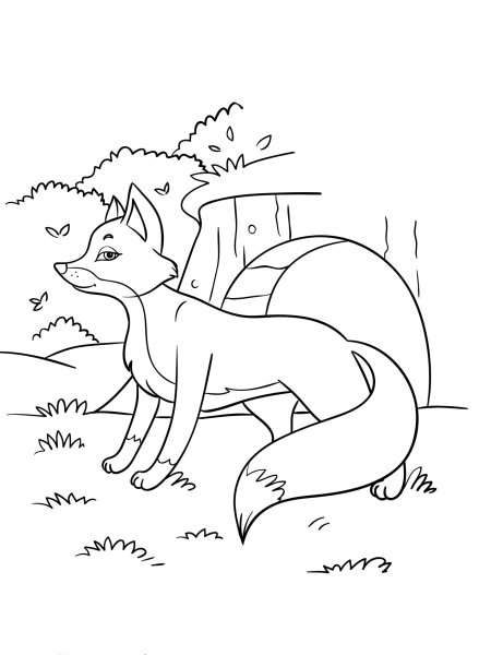 Лиса раскраска для детей