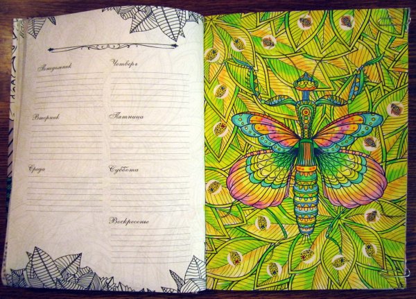 Таинственный лес ежедневник-цветотерапия