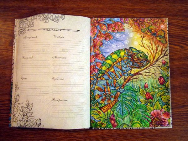 Ежедневник таинственный лес