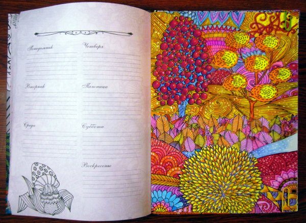 Таинственный лес ежедневник-цветотерапия