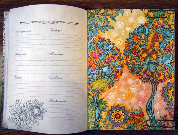 Таинственный лес ежедневник-цветотерапия