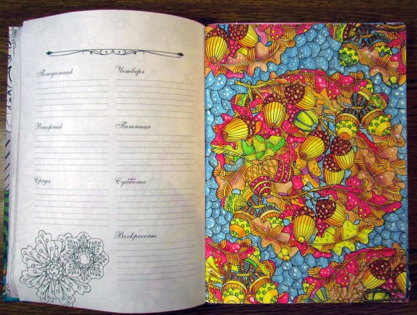 Ежедневник таинственный лес