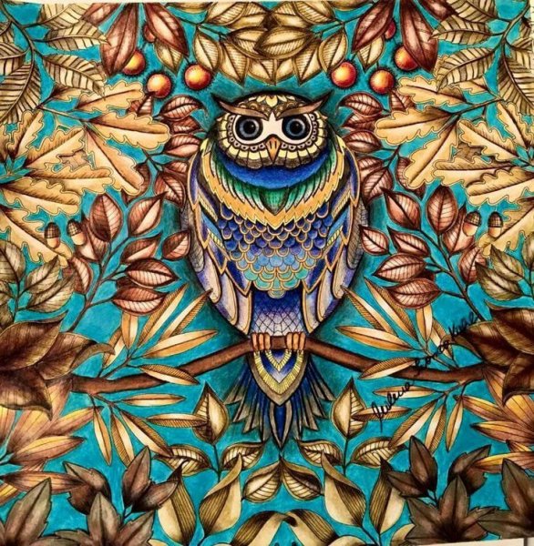 Джоанна Бэсфорд Сова