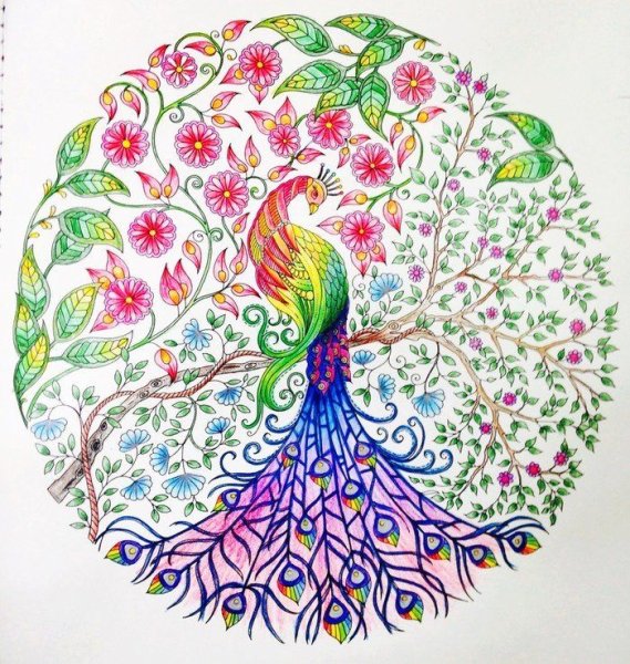 Джоанна Бэсфорд таинственный сад Раскрашенная