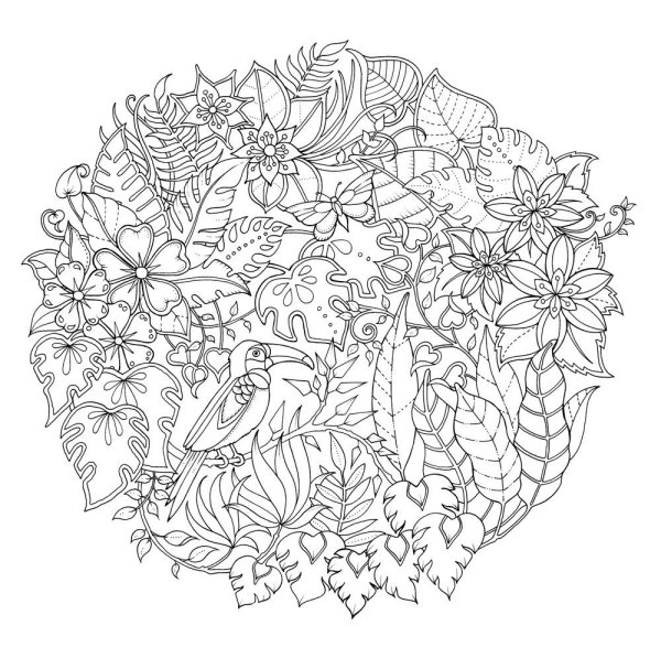 Джоанн Бэсфорд