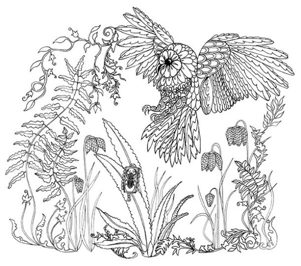 Тайна заколдованного леса