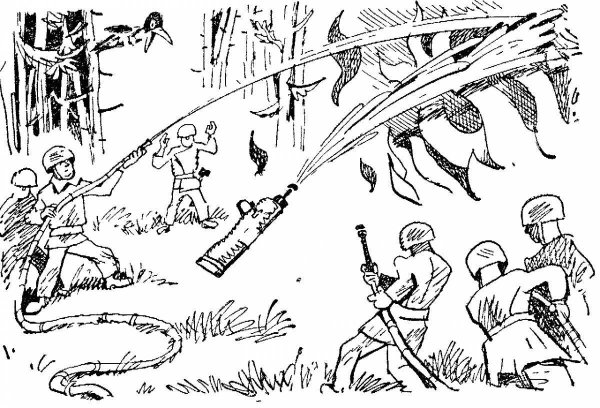 Раскраска на тему Лесные пожары