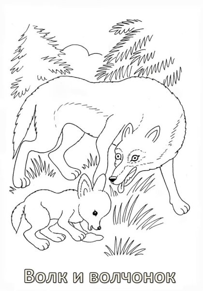 Дикие животные раскраска для детей