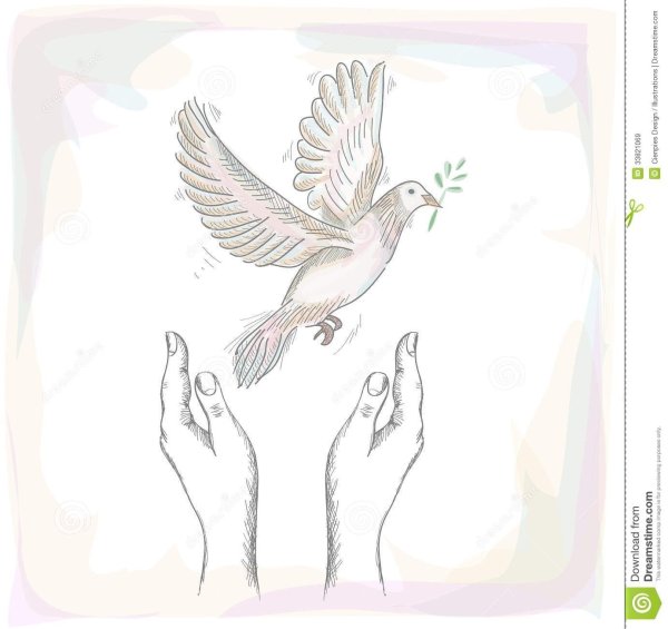 Рука с голубем набросок