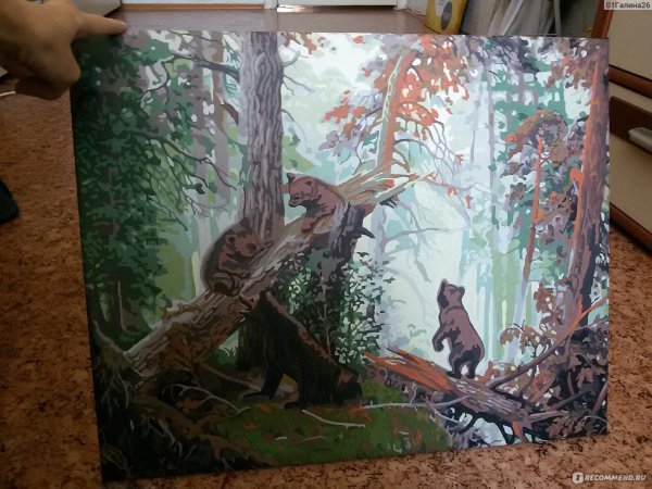 Фрея утро в Сосновом лесу